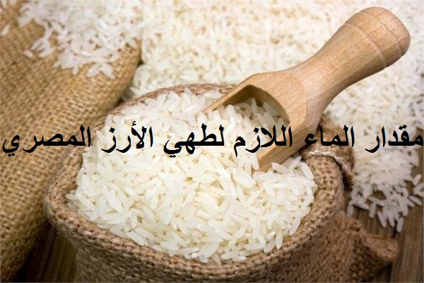 مقدار الماء اللازم لطهي الأرز المصري